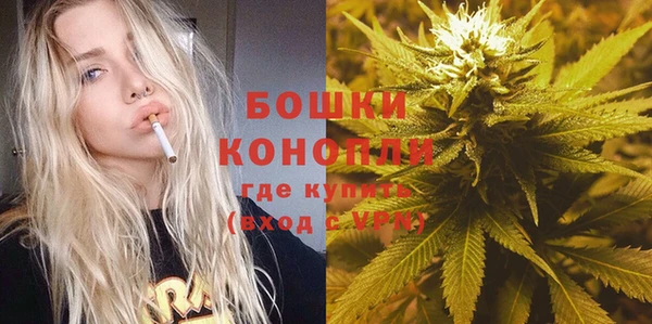 apvp Новозыбков