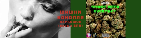 apvp Новозыбков