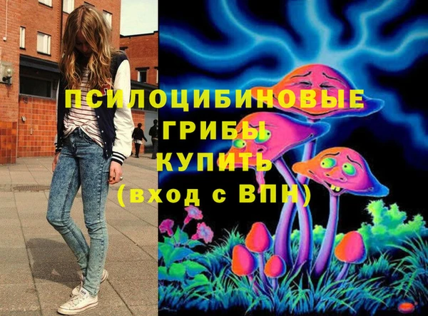 apvp Новозыбков