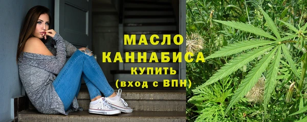 индика Весьегонск