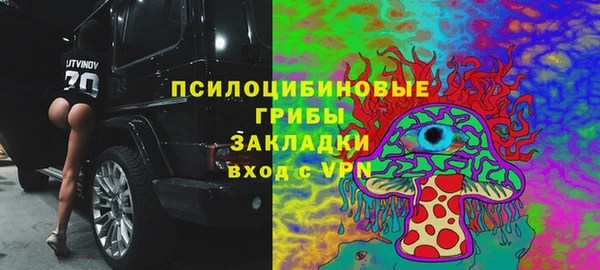apvp Новозыбков