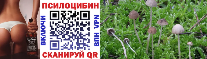 Галлюциногенные грибы Psilocybe  Межгорье 